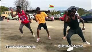 Zolasko Vatsay - Mhoro |with Mutare based dancers @gamechangersdancegroup5592