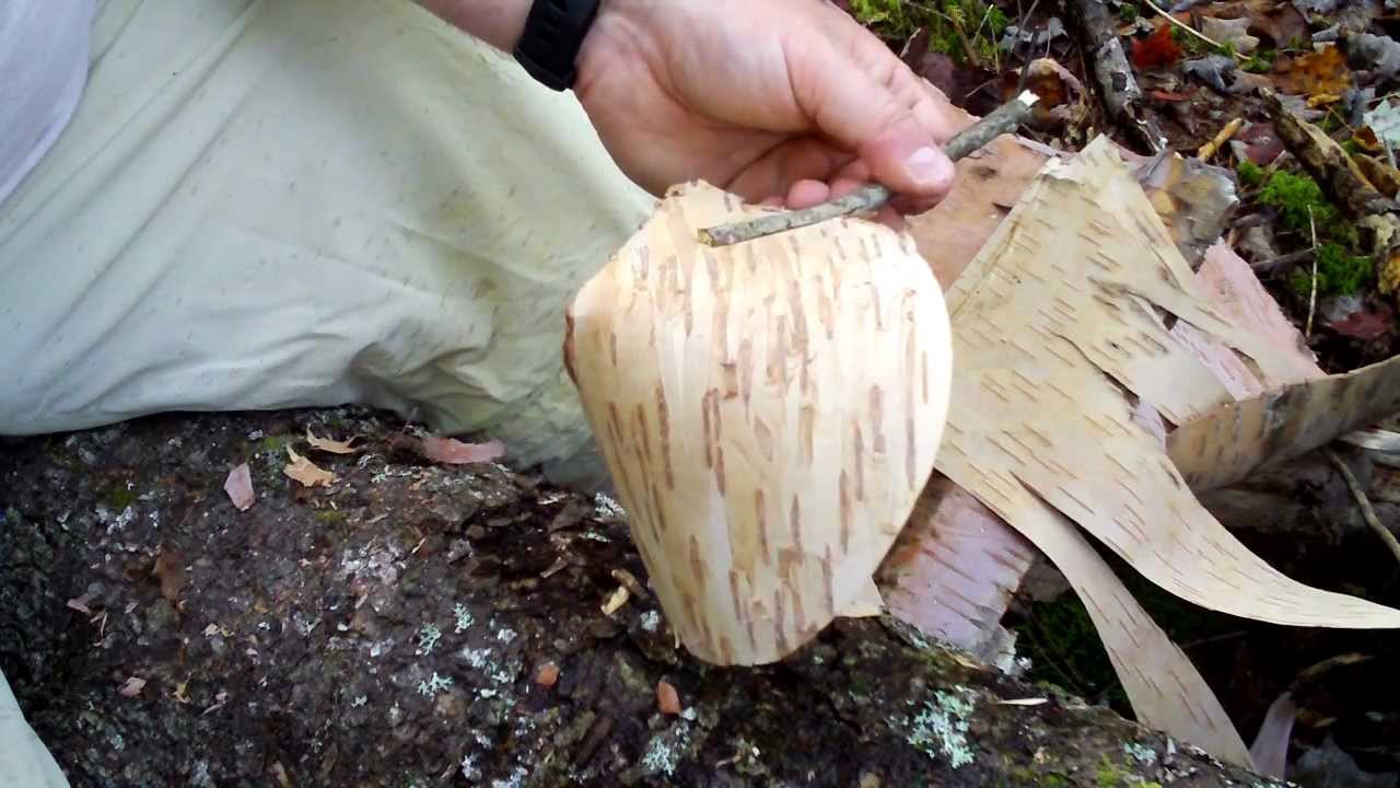 How to make a Birch Bark Cup Redux YouTube