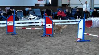 CIMG8667_Winny.AVI