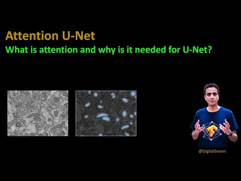 225 - Attention U-net. What is attention and why is it needed for U-Net?