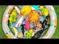 dive into the ocean tiny explorers a joyful sea learning journey for kids