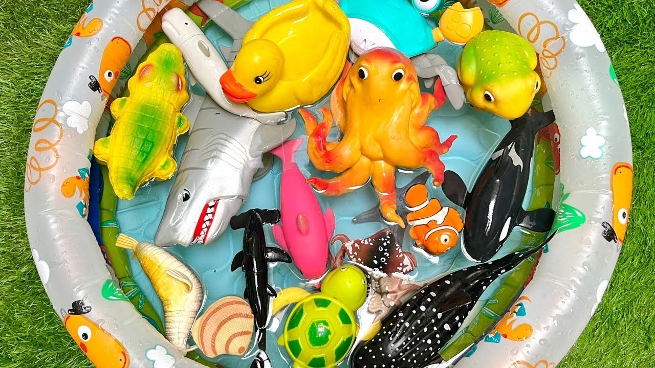 dive into the ocean tiny explorers a joyful sea learning journey for kids