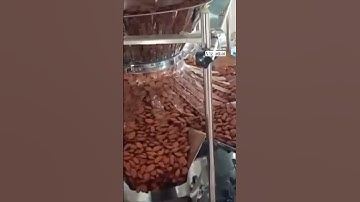 100, 200gm Dry Fruit Packaging Machine 9891990887