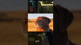 Thats Why I Hate Saeed Delta Force