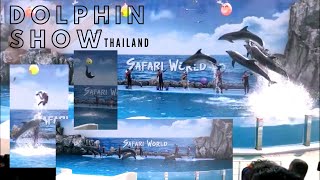 Dolphin show Safari world Bangkok Thailand