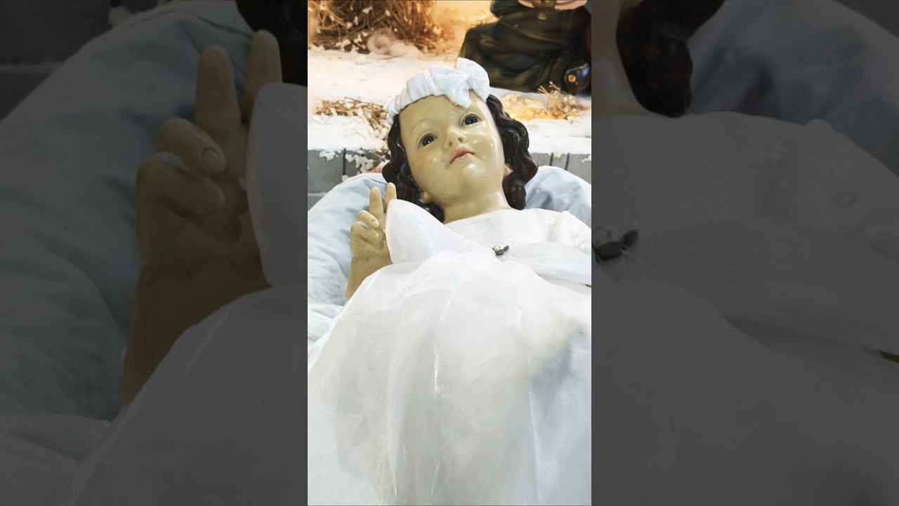 மூன்று ராஜாக்கள் பெருவிழா❤️✨ 