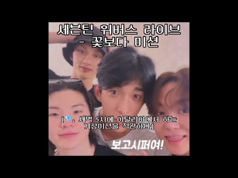 [세븐틴] 23.9.11 새벽 5시 위버스 라이브 from 이탈리아, 꽃보다 미션 수행하기, 기상미션 과연 지훈이는 성공했을까 #세븐틴꽃청춘 #seventeen #꽃보다청춘