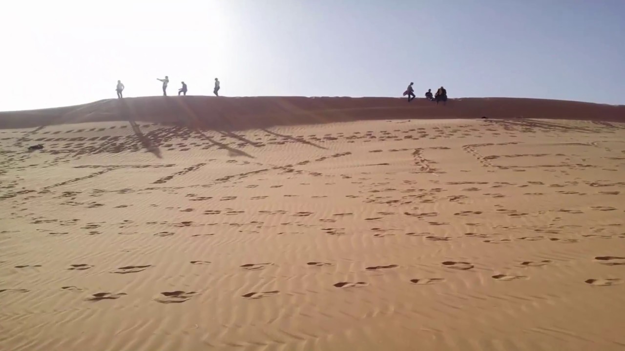 تيكستار  LIVE