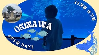 [오키나와🇯🇵3] 베스트웨스턴 온나비치, 하마노야, 추라우미 수족관, 오키나와 가정식 쿠에부우 | 25개월 아기랑 | 여행브이로그 | 아기랑 해외여행 | 코지오 KOJIO