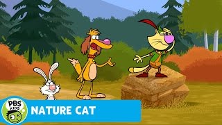 NATURE CAT | The Li'l Mouse Trail | PBS KIDS