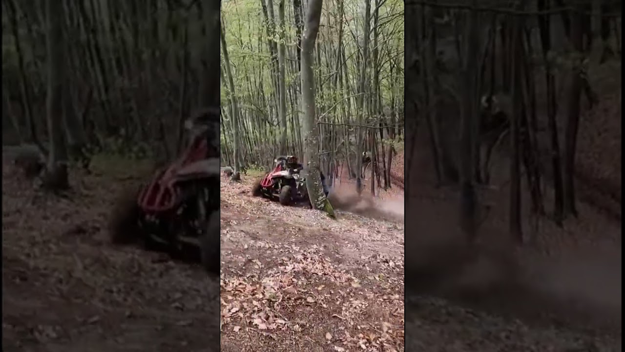 Monster hillclimb quad 