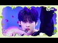 [행복이 가득한 2월 특집] Stray Kids (스트레이 키즈) - CASE 143 #엠카운트다운 EP.829