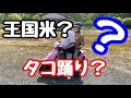 【王国米①】王国米？伝説のタコ踊り？？なんで？？？