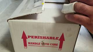 New snake unboxing Profile