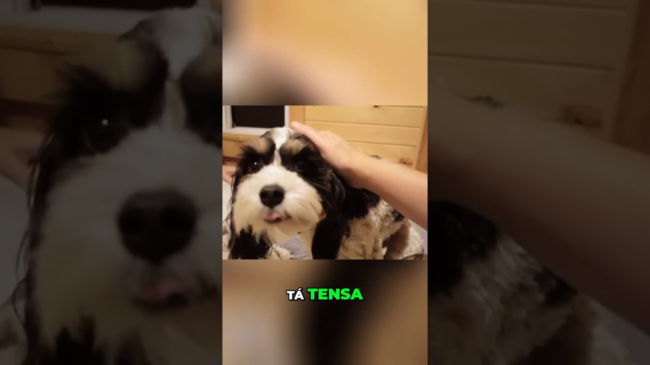 Original Title & Thumbnail