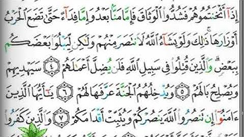 مصحف التجويد صفحة 507 إبراهيم الأخضر 🕋🕋
