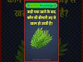 कड़ी पत्ता खाने से कौन सी बीमारी जड़ से खत्म हो जाती है? जानिए आसान GK सवाल 🌿