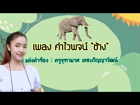 เพลง คำไวพจน์ “ช้าง” ครูกุ๊กไก่
