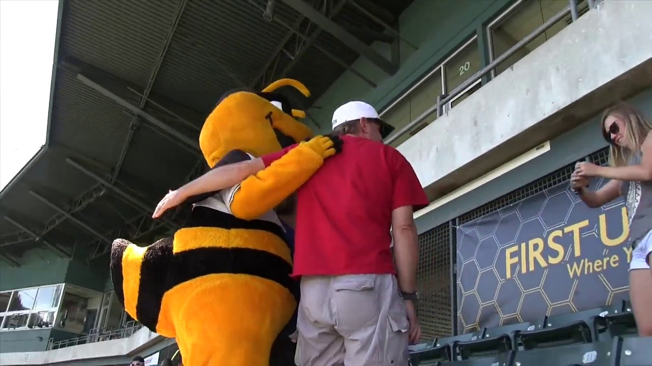 salt lake bees baseball mascot｜TikTok Search