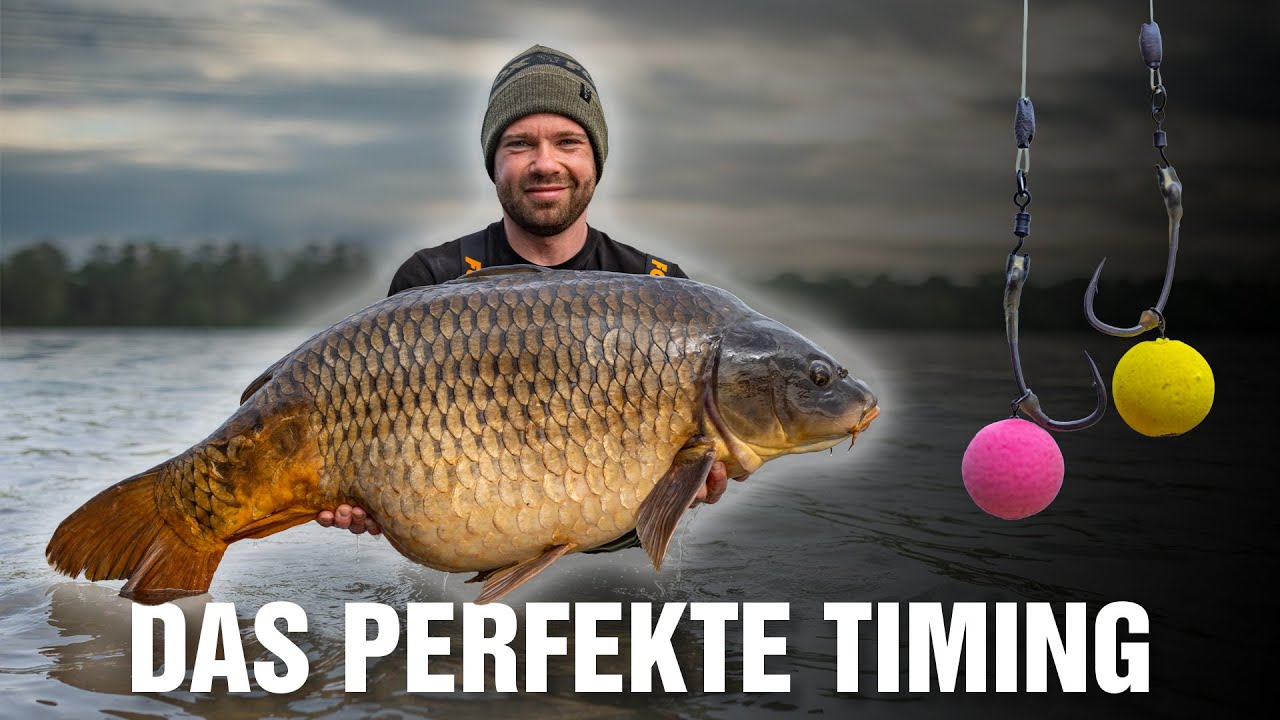 Das RICHTIGE Timing ⏱️| ERFOLGREICH durchs Frühjahr 🐋