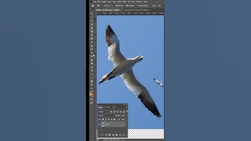 Unique magic ✨ in adobe photoshop very sample and easy l Quick Background Removal