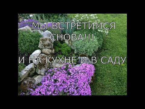 Видео: Мы на ЯНДЕКС ДЗЕН и RUTUBE ссылки под видео.