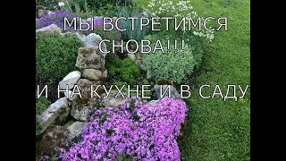 Мы на ЯНДЕКС ДЗЕН и RUTUBE ссылки под видео.