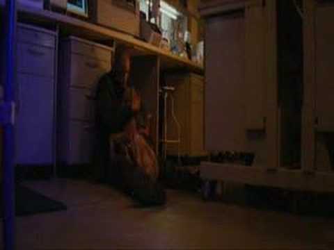 I Am Legend Saddest Part Youtube