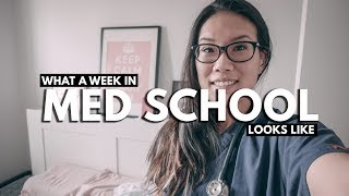WHAT A WEEK IN MEDICAL SCHOOL LOOKS LIKE: Residency Interview Season (4th Year of School)