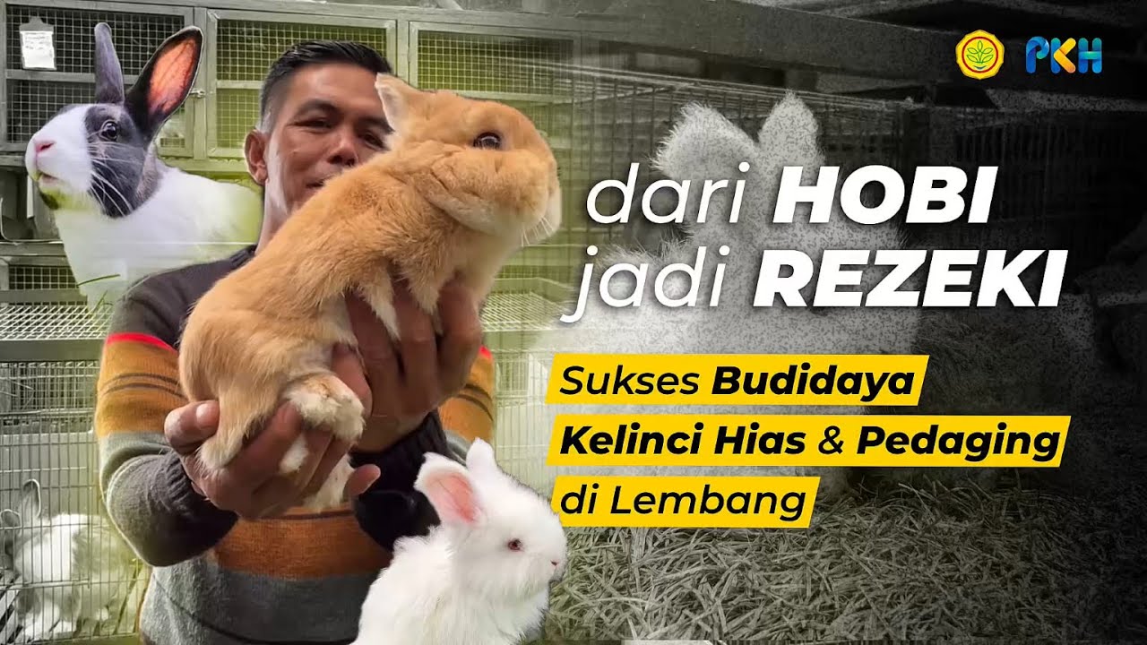 Dari Hobi Jadi Rejeki (Full Version)