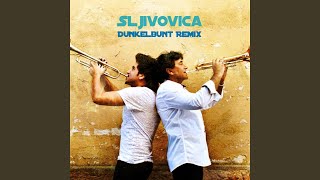 Sljivovica ( [dunkelbunt] Remix)