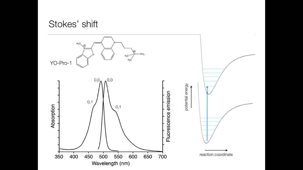 Stokes' Shift Concept YouTube