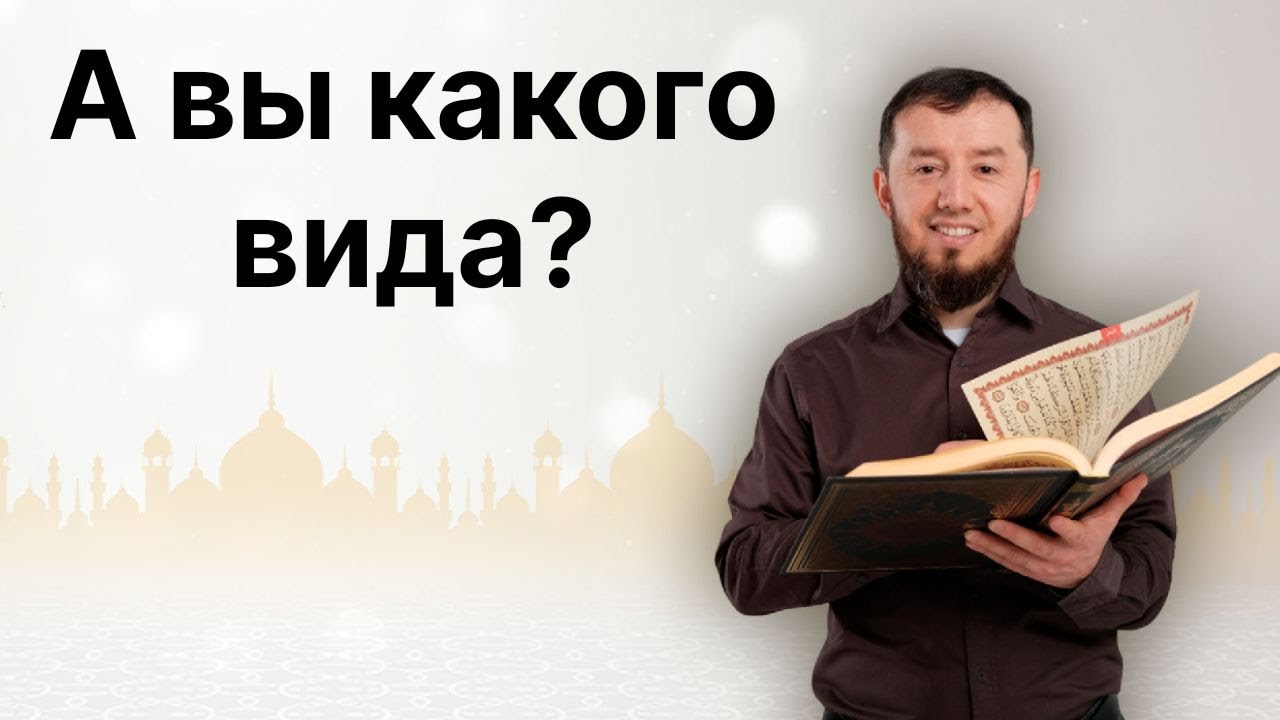 А вы какого вида? (тел: +7-986-917-28-84)