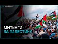 Протесты в поддержку палестинцев продолжаются в разных странах мира