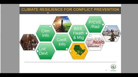 Ayan Mahamoud, Intergovernmental Authority on Development