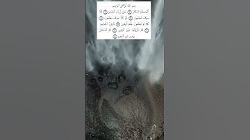 #سورة_التكاثر #عمر_القزابري #اكسبلور #راحة_نفسية #قرآن_كريم #alquran #المصحف #relaxing