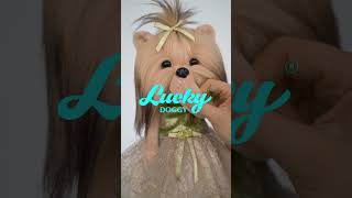 Игрушка Lucky Yoyo LD2/064: Роскошь с каркасом