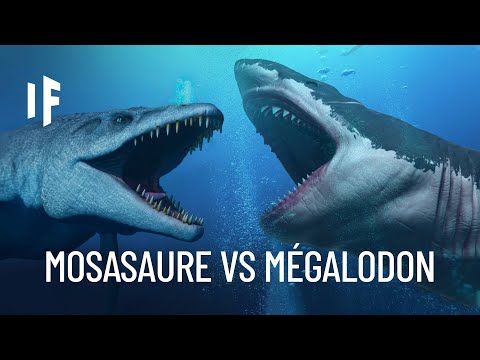 Vidéo: Les mosasaures pourraient-ils encore exister ?