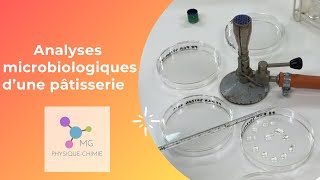 Analyses Microbiologiques Dune Pâtisserie Psm Dilution En Cascade Ensemencement En Masse 