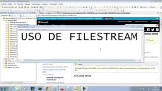 SQL Server: Uso de FileStream