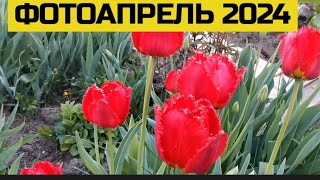 ФОТОАПРЕЛЬ 2024 #жить_по_белорусски #могилёв #фото_моя_жизнь