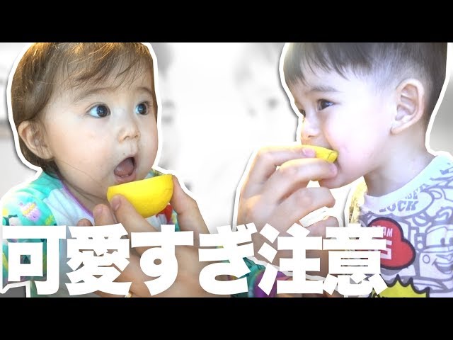 波*様 空想アパートメント　レモンの赤ちゃん いつもよりふわふわなレモンとレモンの赤ちゃん
