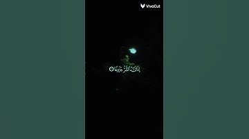 المنشاوي سورة المعارج