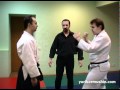 Wing chun and Aikido (Kormushin and Mikhailov)