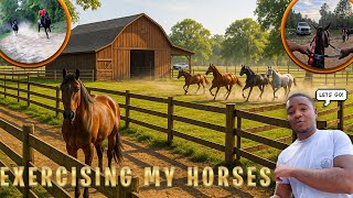 LIFE OF HORSE TRAINING… ( Baby Horses , Exercising Horses)