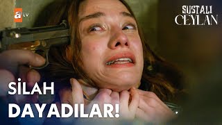 Ceylanın Başına Silah Dayadılar - Sustalı Ceylan 5. 