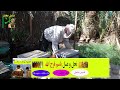 فكره رهيبه ازى تضاعف خلايا المنحل طريقه تقسيم خلايا النحل فى مصر فكره رهيبه ازى تضاعف خلايا المنحل طريقه تقسيم خلايا النحل فى مصر