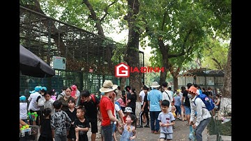 Không khí nhộn nhịp tại các điểm vui chơi dịp lễ 30/4-1/5