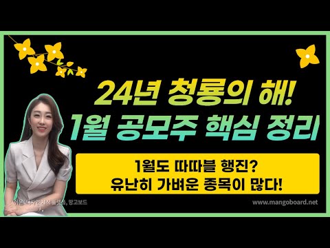   공모주 2024년 1월 공모주 따따블 행진 가능할까 유난히 소형 사이즈가 많다 스튜디오삼익부터 이닉스까지 살펴보기