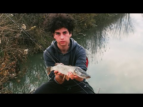 თევზაობა ქარიყლაპიაზე / Pike Fishing 2019